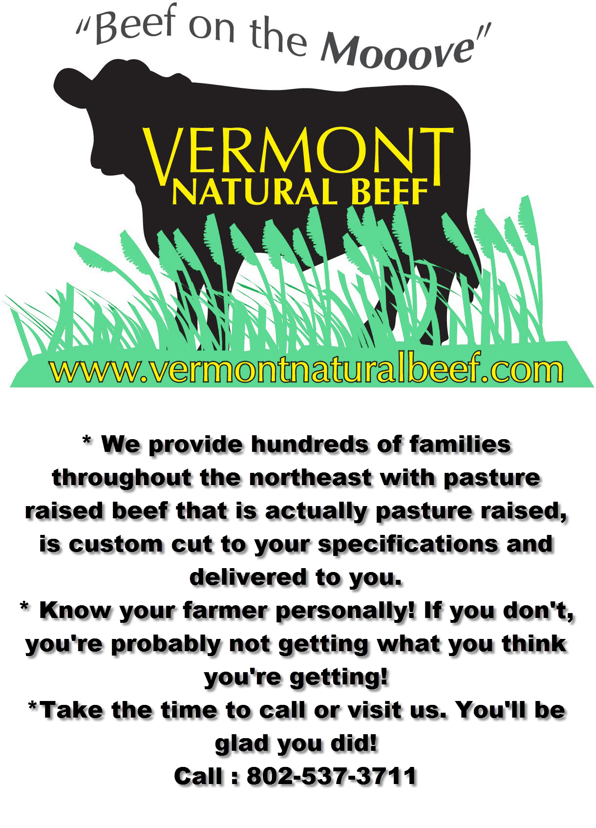 Grass Fed Beef Vermont